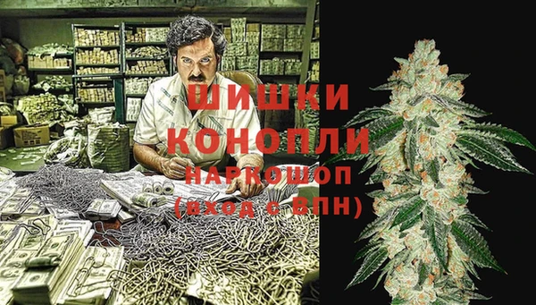 прущая мука Ельня