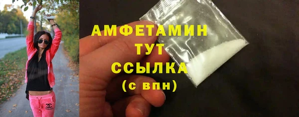 индика Дмитров