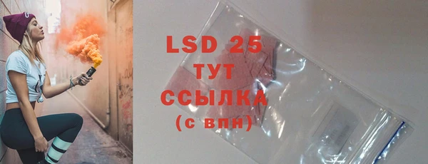 дживик Тында
