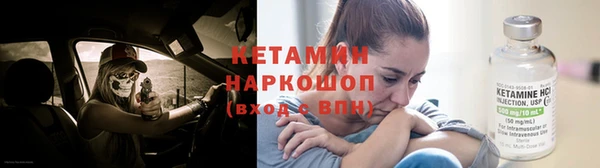 индика Дмитров