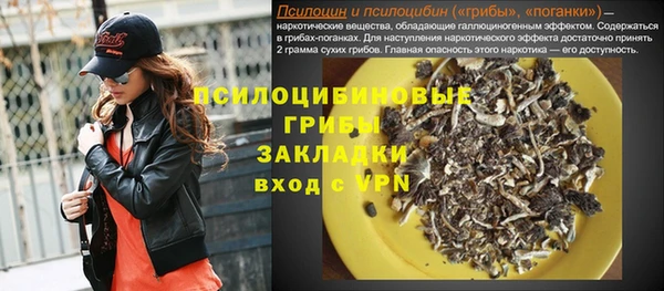 индика Дмитров