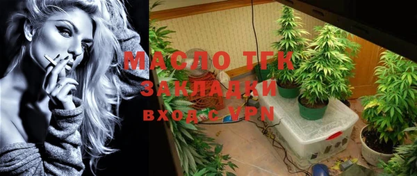 spice Дмитриев