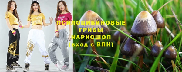 прущая мука Ельня