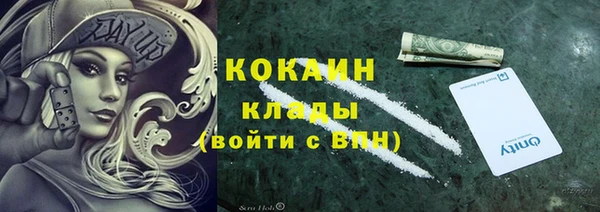 дживик Елабуга