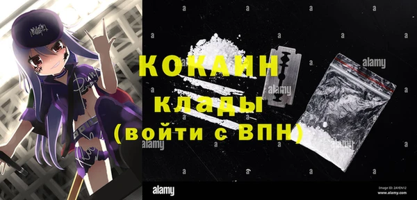 индика Дмитров