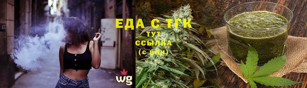 spice Дмитриев