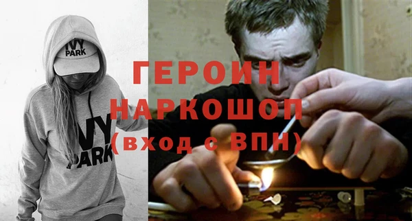 индика Дмитров