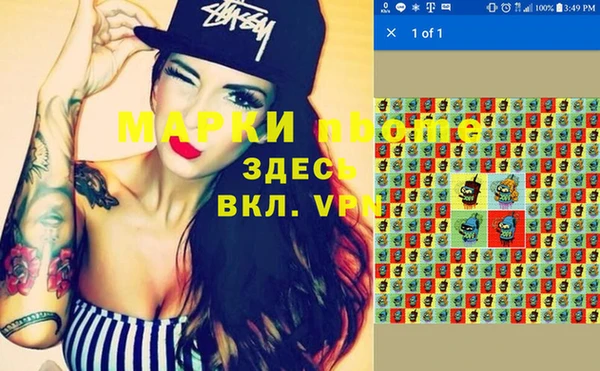 индика Дмитров