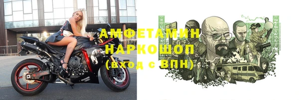 индика Дмитров