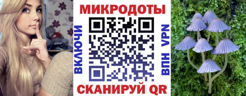 Псилоцибиновые грибы прущие грибы  сайты даркнета Telegram  Трубчевск  гидра сайт 